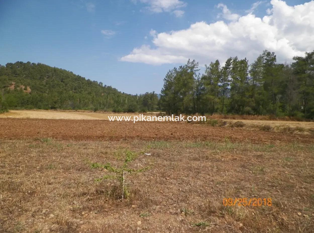 In Beyoba Of Fertile Land For Sale Bargain