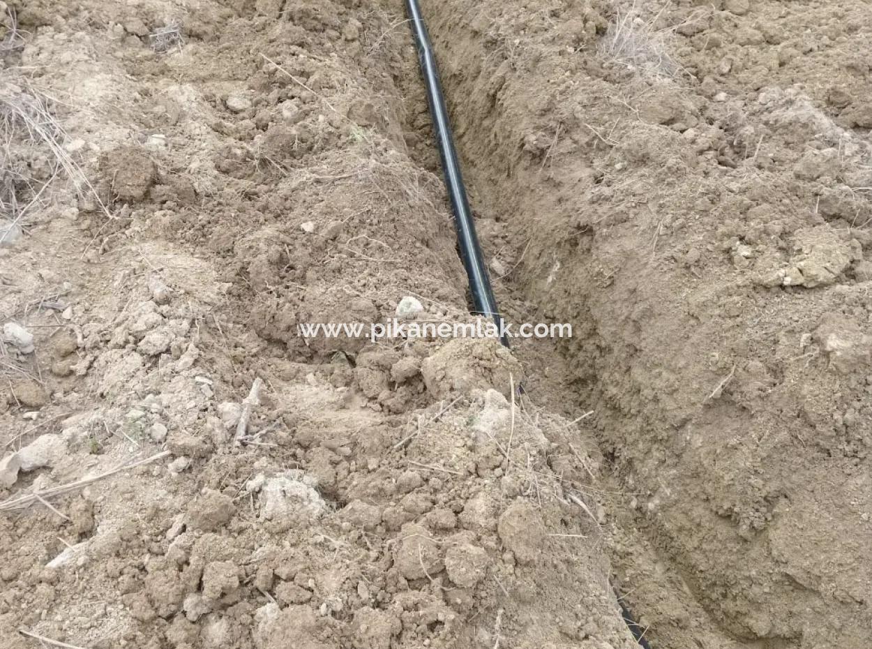 37.000 M2 Walnut Orchard In Denizli Tavas Ulukent For Sale