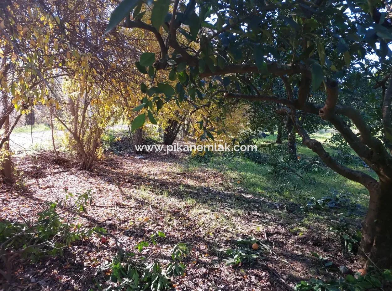 In Ortaca Okçular, A 1000 M2 Detached Land Is For Sale With 250 M2 Construction Rights Or Exchanged For 2-3 Flats From Ortaca