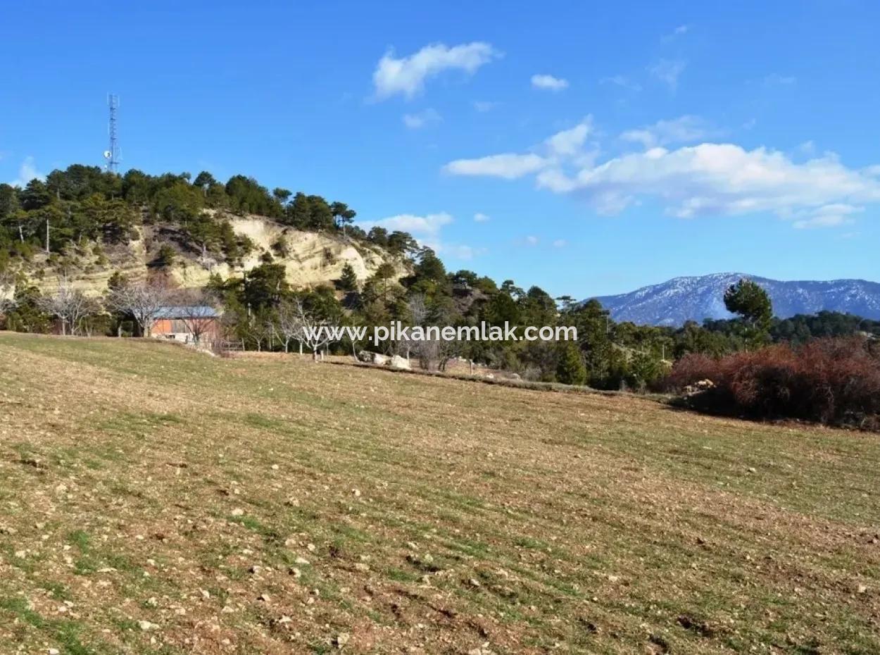 Stone House On St John's Island And Land For Sale Or Swap