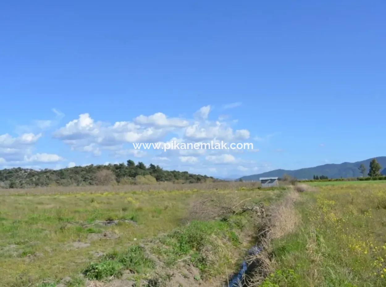Farm For Sale Bargain In Dalyan