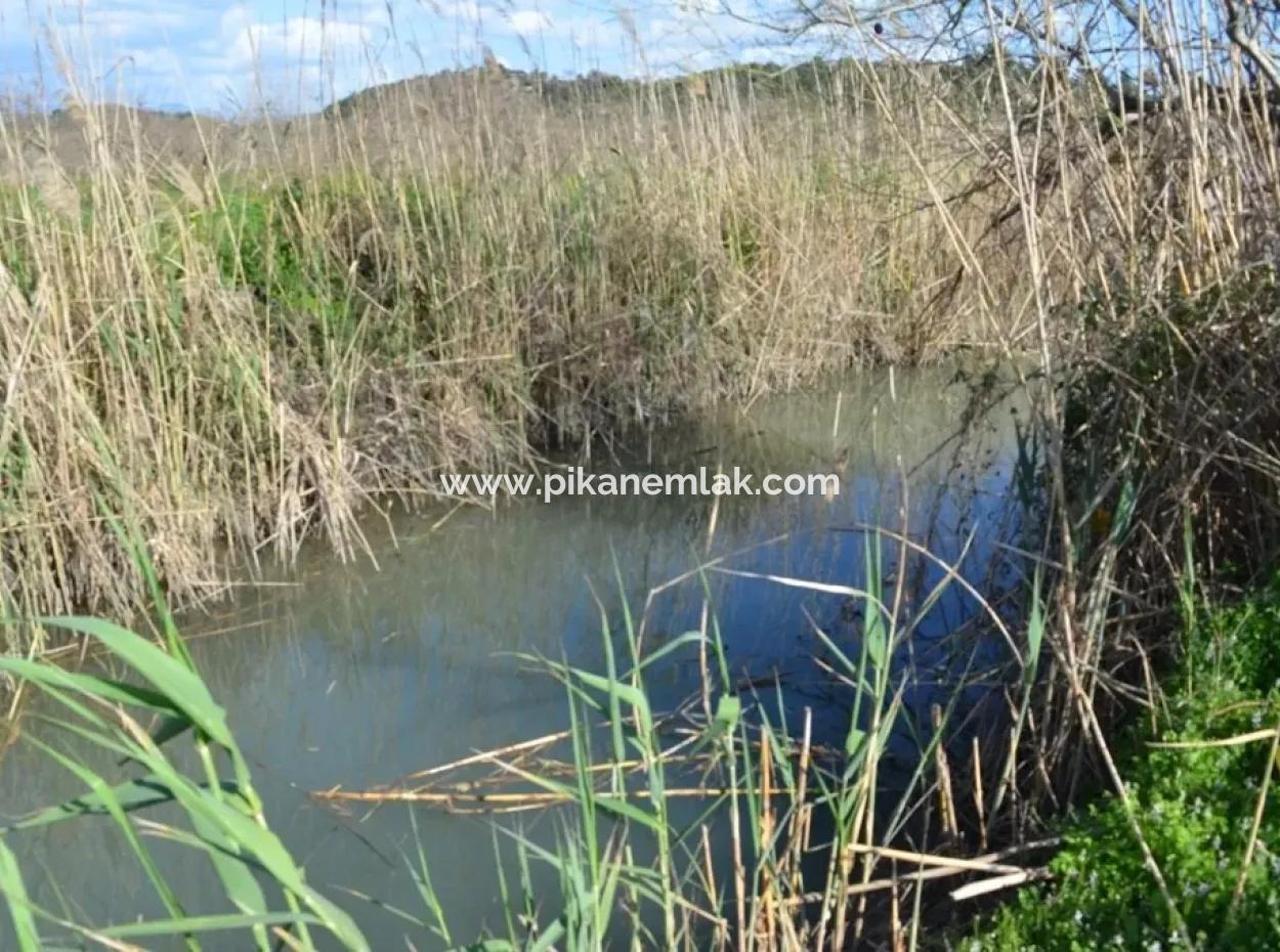 Farm For Sale Bargain In Dalyan