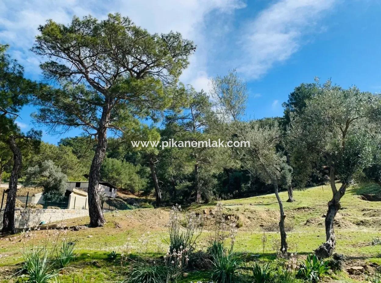 Detached Field For Sale In Ortaca Gökbel