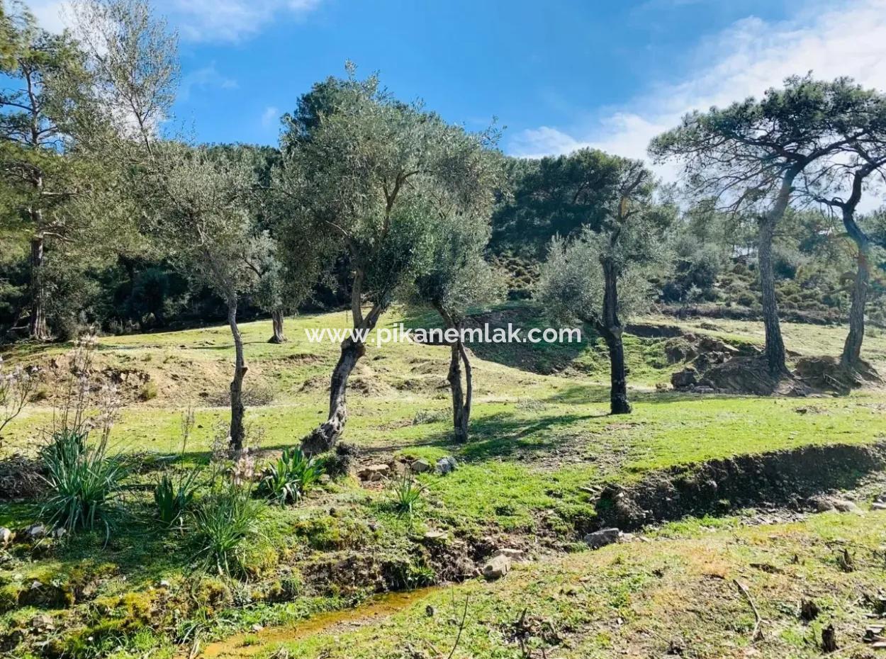 Detached Field For Sale In Ortaca Gökbel