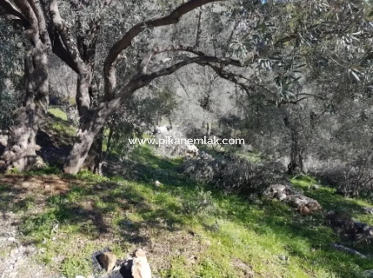 Sea View Land For Sale In Göcek Gökçeovacık