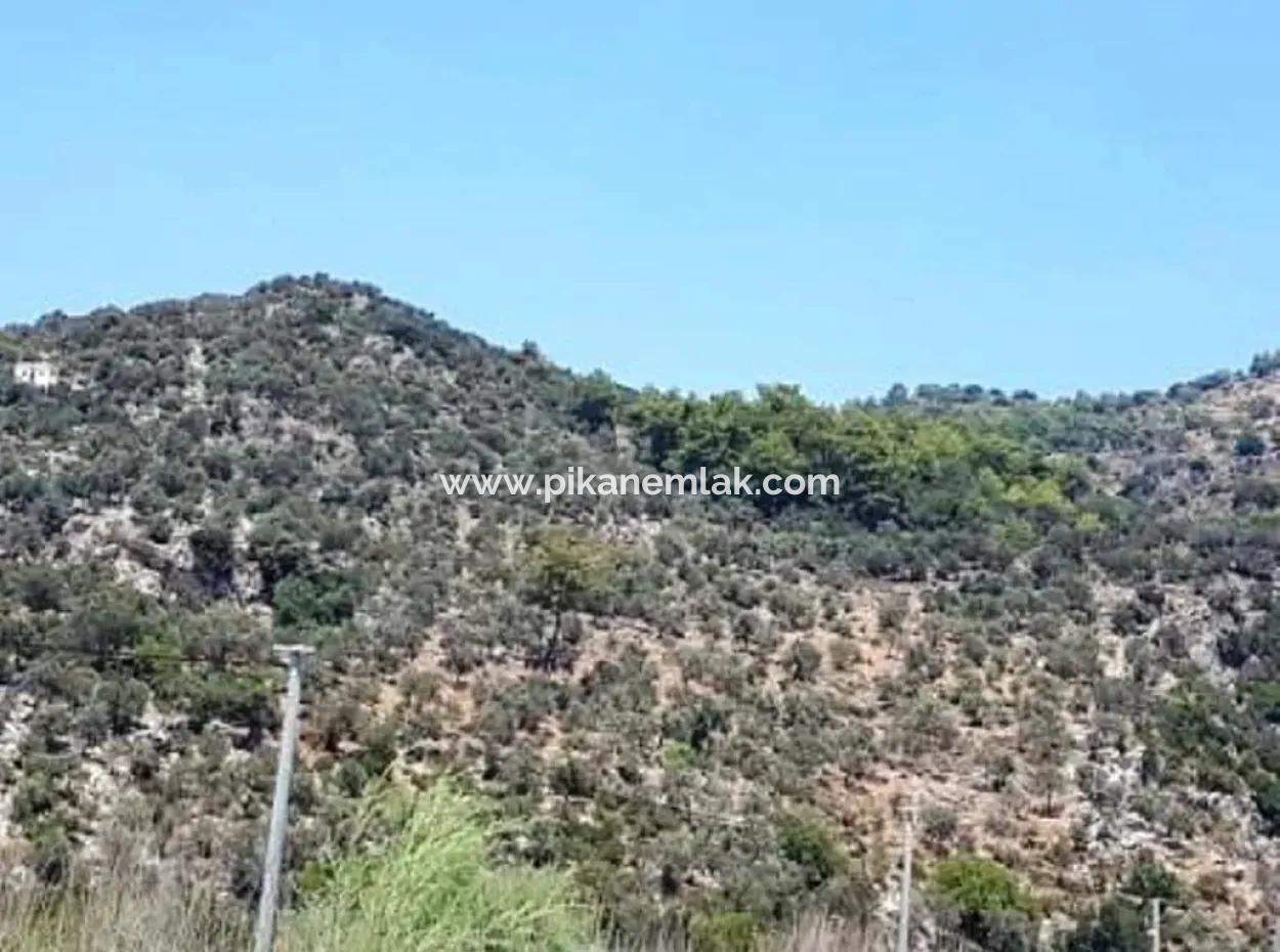 Sea View Land For Sale In Mugla Dalaman Kapıkargın