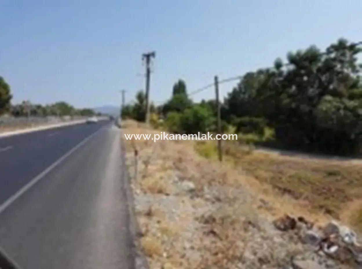 From The Main Road Land For Sale In Koycegiz Zeytinalani Zero
