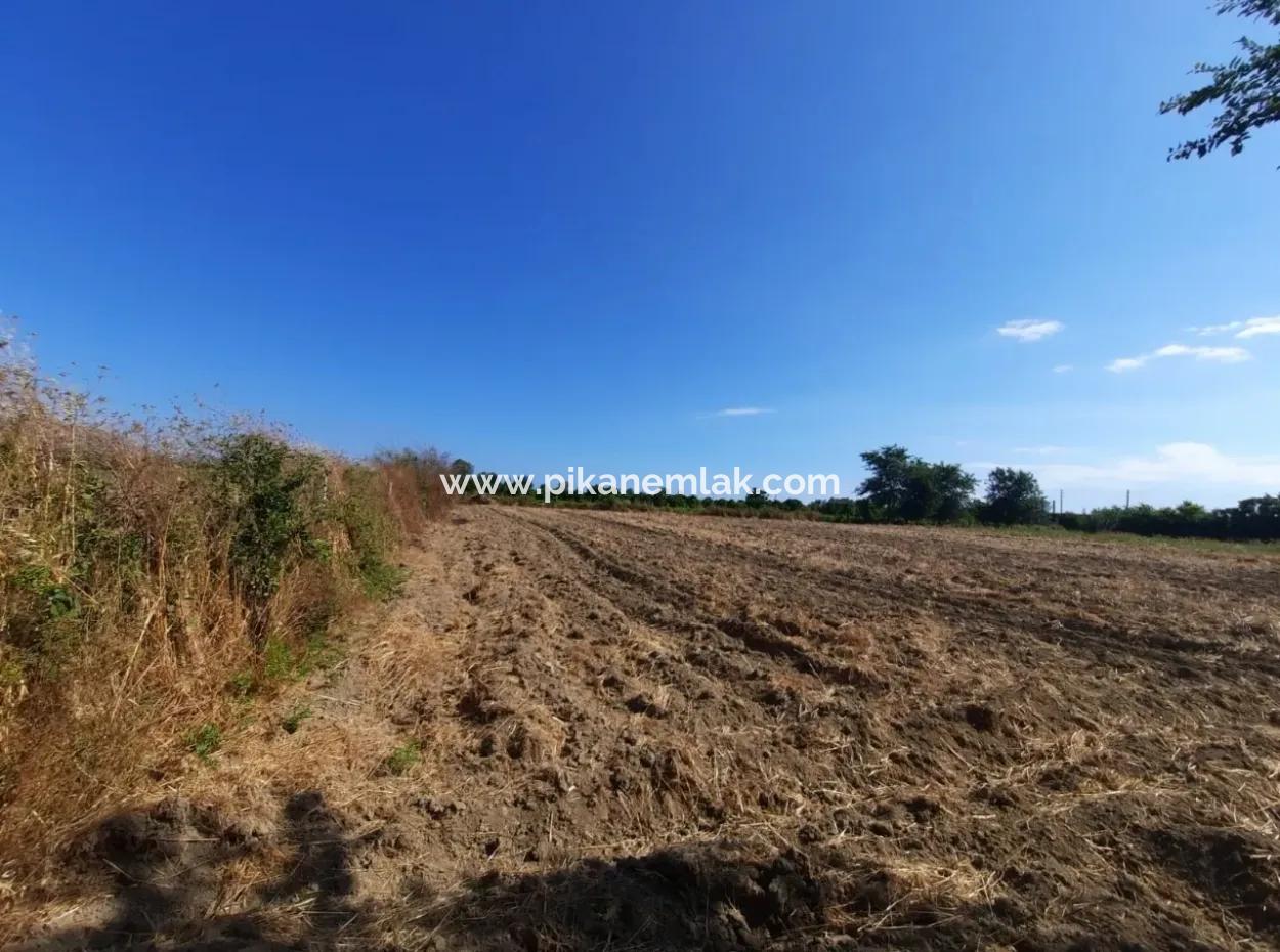 Oriya Fevziye Land For Sale In Zero Road