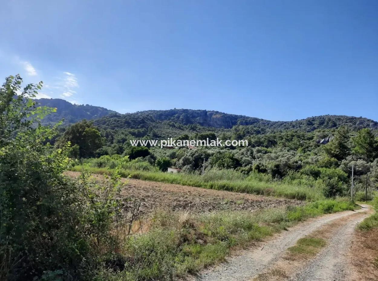 Oriya Fevziye Land For Sale In Zero Road