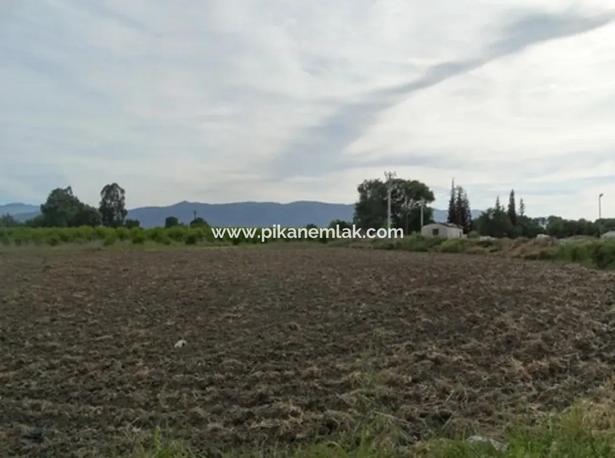 Also Suitable For Investment 31,175 M2 Land For Sale In Koycegiz Up