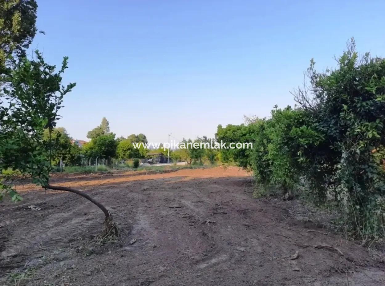 Archers Land For Sale With Title Deeds