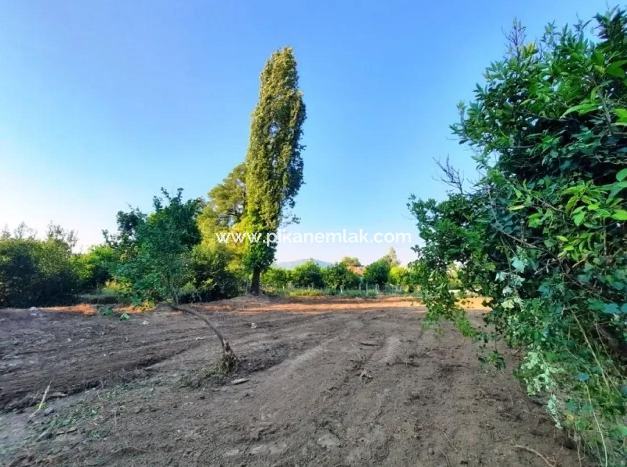 Archers Land For Sale With Title Deeds