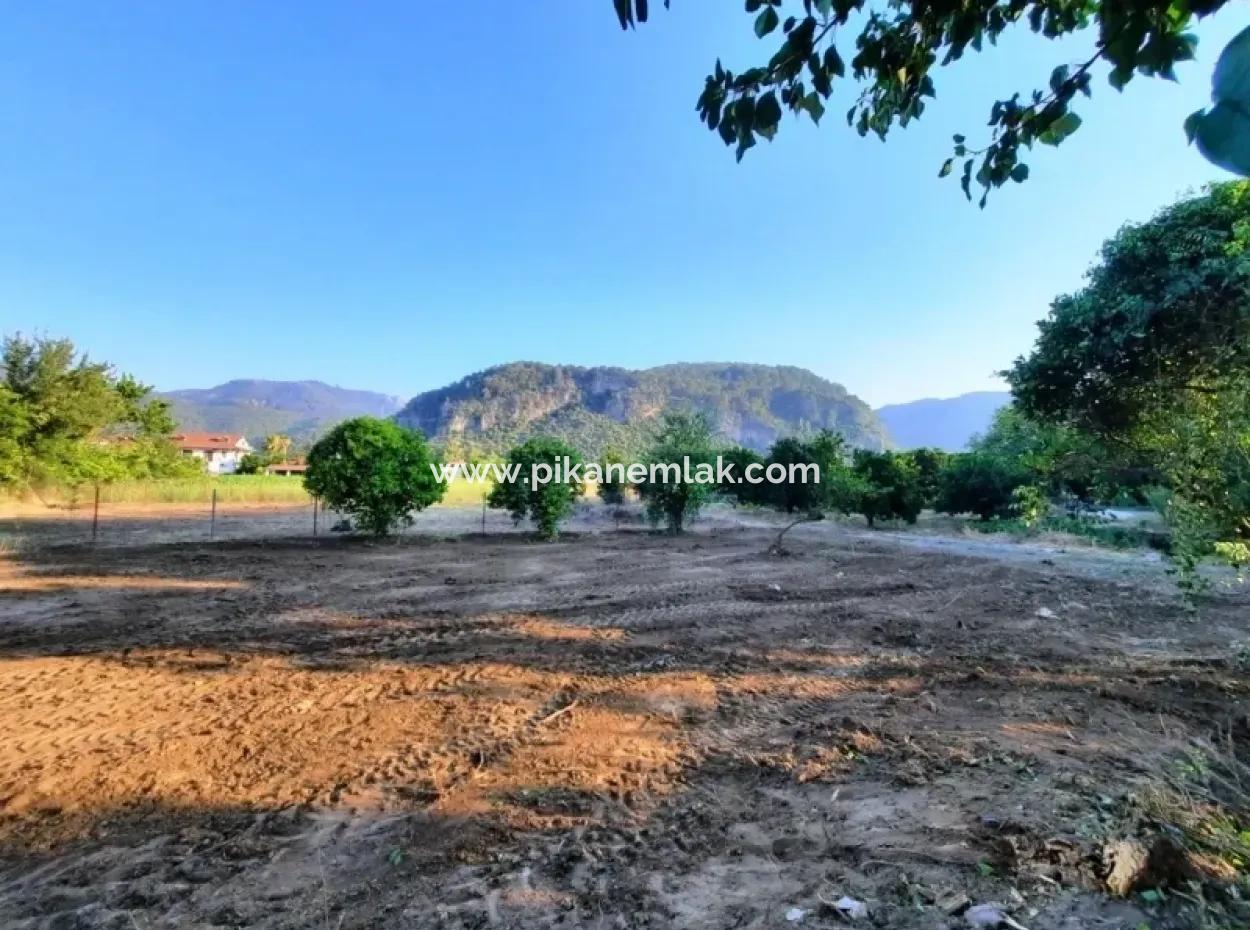 Archers Land For Sale With Title Deeds