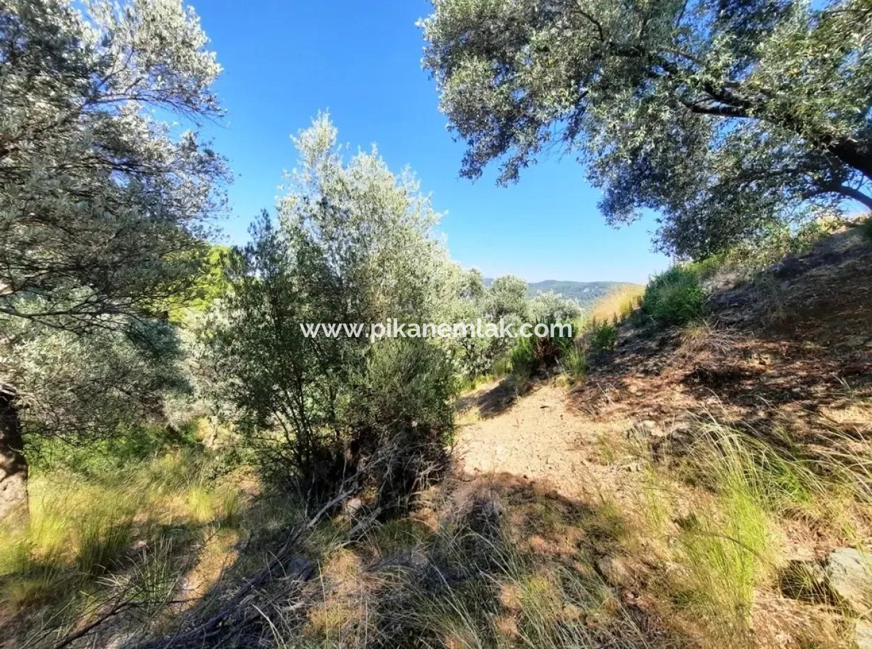 400 M2 Plot For Sale Bargain Ortaca Sarıgerme