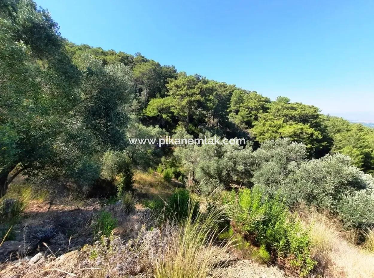 400 M2 Plot For Sale Bargain Ortaca Sarıgerme