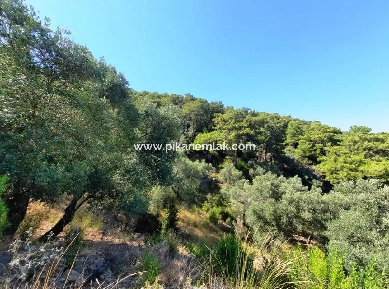 400 M2 Plot For Sale Bargain Ortaca Sarıgerme