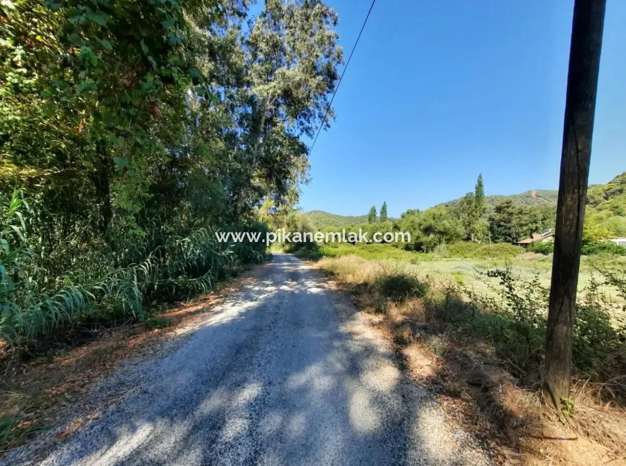 Vineyard Garden Zoning Land For Sale In Gocek Inlice