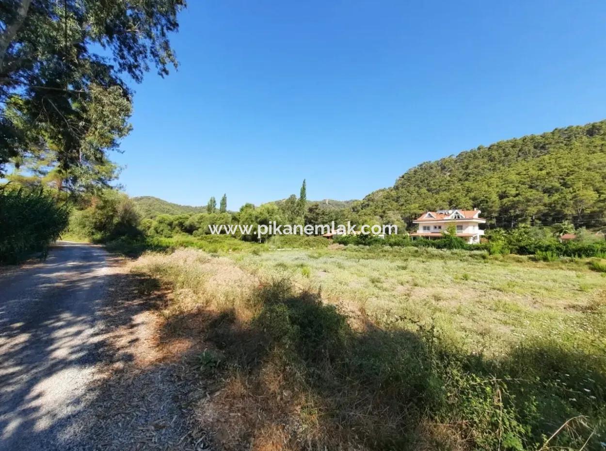 Vineyard Garden Zoning Land For Sale In Gocek Inlice
