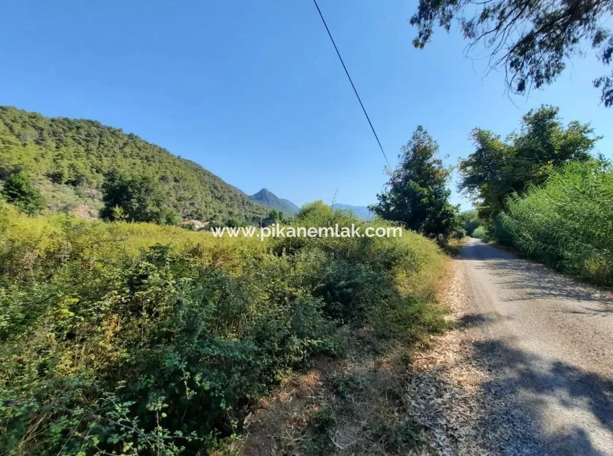 Vineyard Garden Zoning Land For Sale In Gocek Inlice