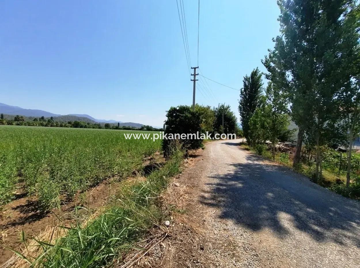 Efficient Field For Sale In Koycegiz
