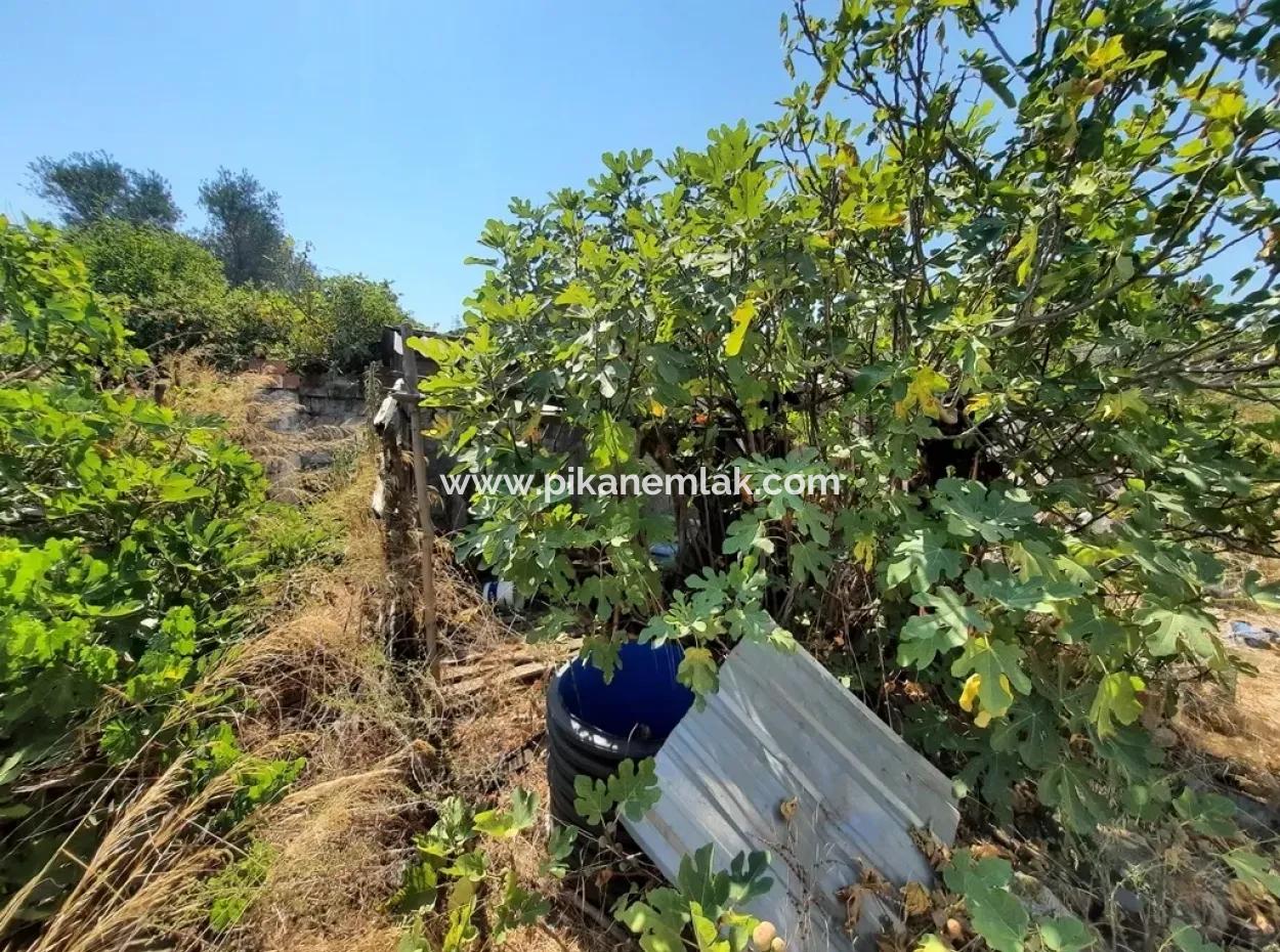 Zoning Land For Sale In Köycegiz Topars