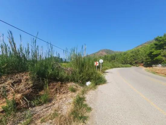 Muğla Ortaca Ekşiliyurt 8.000 M2 Fertile Land For Sale