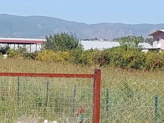 Land And 2 In 1 Container House For Sale On Dalyan Eskiköy Farm Road