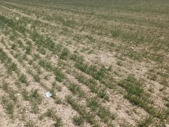 Konya Kadinhani Baskuyu 650.000 M2 Bargain Land For Sale