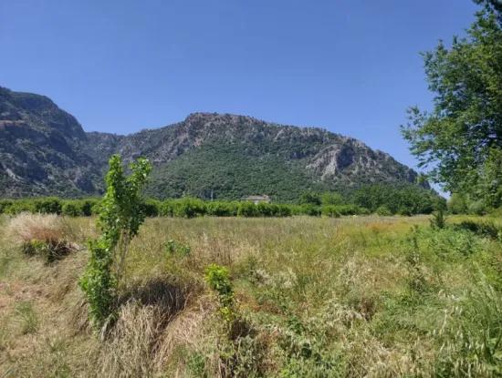 Land For Sale In Muğla Marmarlı In 5 800 M2 Zoning Plan Suitable For Investment