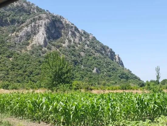 1 900 M2 In Dalyan Okçular Marmarlı, Land In The Zoning Plan Is For Sale