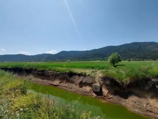 Bargain Land For Sale In Çameli Bıçakçı – 5.333 M² Detached Title Deed