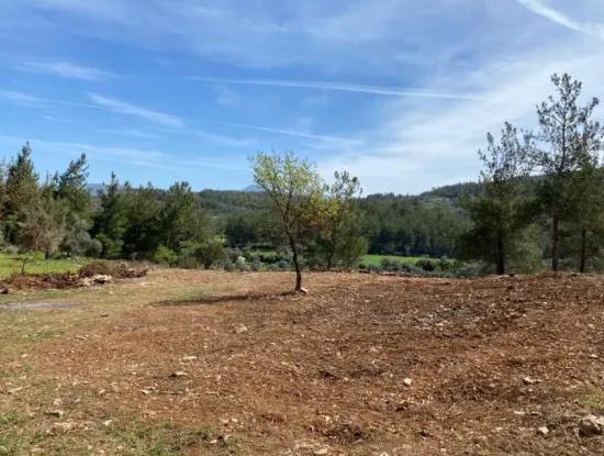2500 M2 Flat Data Detached Land For Emergency Sale In Milas Karacahisar, Open To Offer
