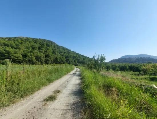 73,500 M² Pomegranate Garden Suitable For Investment In Ortaca Dalyan For Sale