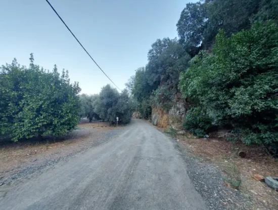 1.300 M2 Detached 250M2 Residential Zoned Land For Sale In Muğla, Ortaca, Karadonlar