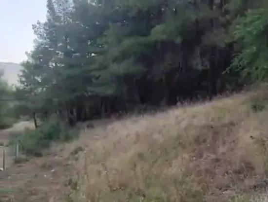 Muğla Ula Kızılyaka 790M2 Treasury Land Possession Right Will Be Transferred Or Vehicle Will Be Exchanged