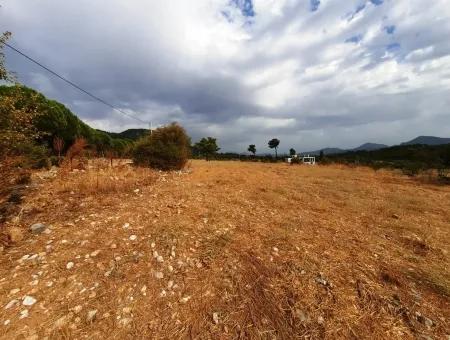 Detached Land With Lake Views For Sale In Köyceeğiz Zeytin Area