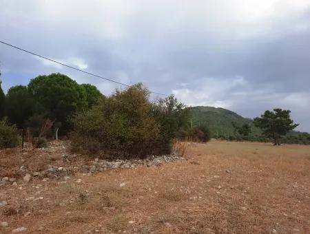 Detached Land With Lake Views For Sale In Köyceeğiz Zeytin Area