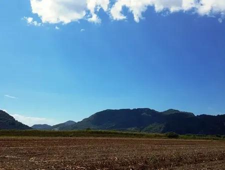 Fertile Bargain Land For Sale In Muğla Ortaca Güzelyurt