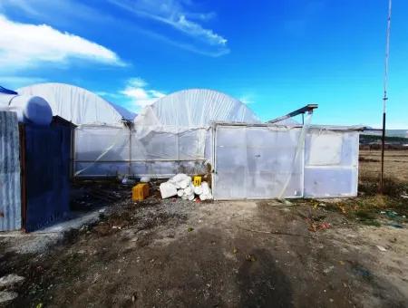 Denizli Çameli Yumrutaş Detached 4 000 M2 Greenhouse For Sale