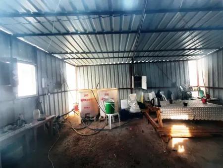 Denizli Çameli Yumrutaş Detached 4 000 M2 Greenhouse For Sale