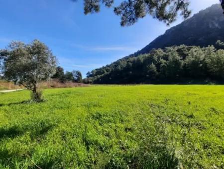 Mergenli For Sale In Ortaca Mountain Zero-Investment A Bargain Suitable Land