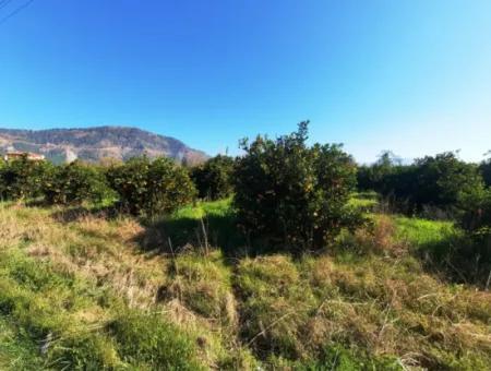 Mugla Archers Have 250 M2 Construction Rights For Sale On 1038 Plots