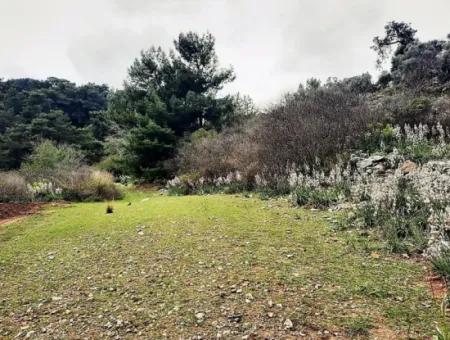 Dalyan Gökbel 13,100 M2 Field For Sale In Nature