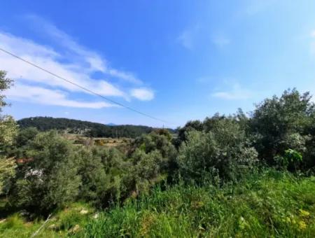 2 Parcels Of Land With 768 M2 Residential Development For Sale In Ortaca Sarıgerme