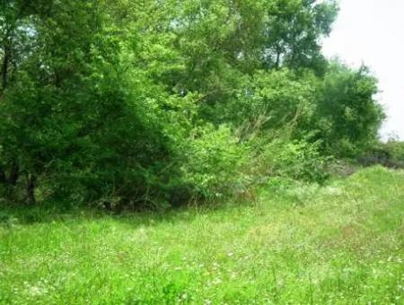 Oriya Fevziye For Sale Bargain Land, Suitable For Investment, 1500 M2