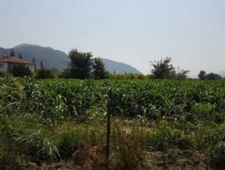 Detached 15000 M2 Fertile Land For Sale In Mugla Ortaca Archers