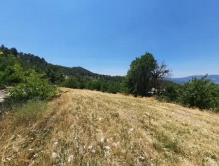 Denizli Çameli Gökçeyaka 2762 M2 Detached Land For Sale