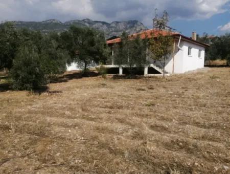 2 Detached Houses For Sale In 1992 M2 Plot Overlooking The Lake In Köyceğiz Zeytinalanı