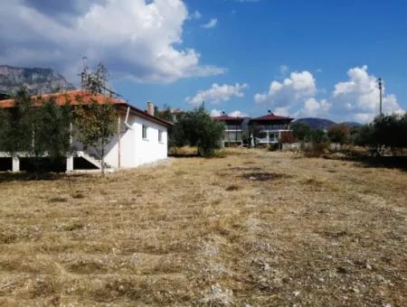 2 Detached Houses For Sale In 1992 M2 Plot Overlooking The Lake In Köyceğiz Zeytinalanı