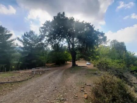 Mugla Dalyan Gökbel 320 M2 Bargain Land For Sale